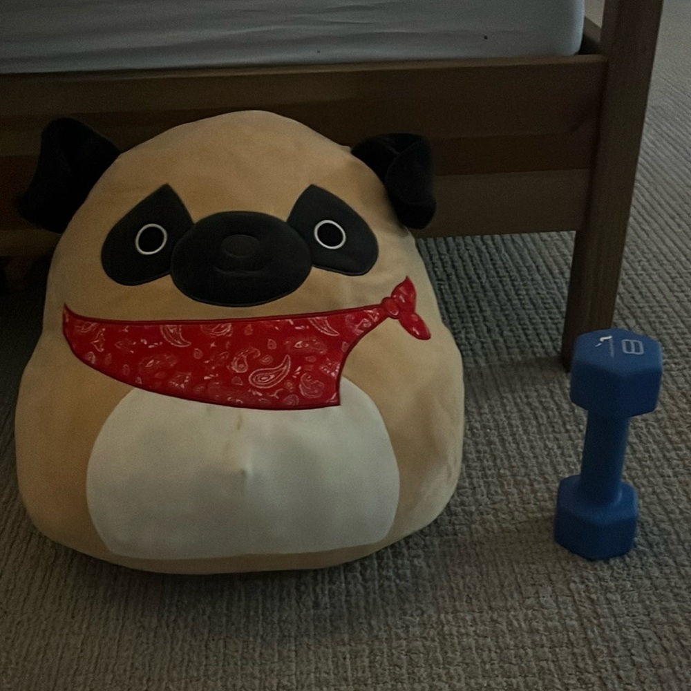 Dog squishmellow